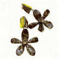 Golden Earrings