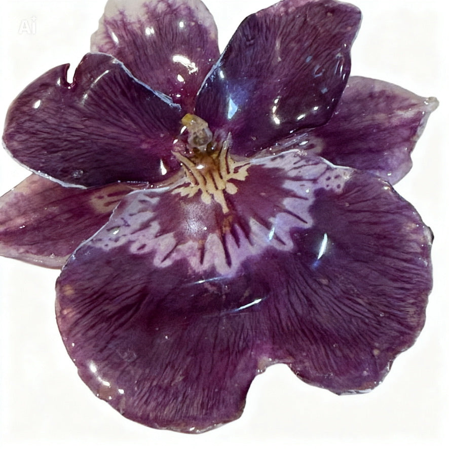 Miltoniopsis Earrings