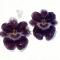 Miltoniopsis Earrings
