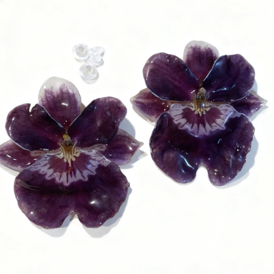 Miltoniopsis Earrings