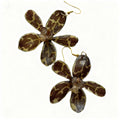 Miltassia Orchid Earrings